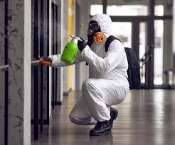 Best Emergency Mold Remediation  in Star, ID